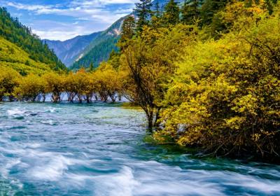 2026九寨沟全段开放旅游攻略｜Y字形地形玩法+观光车路线+避坑指南