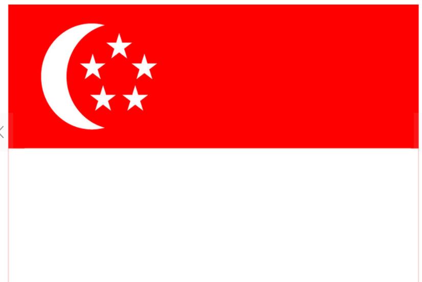 新加坡签证Singapore Visa