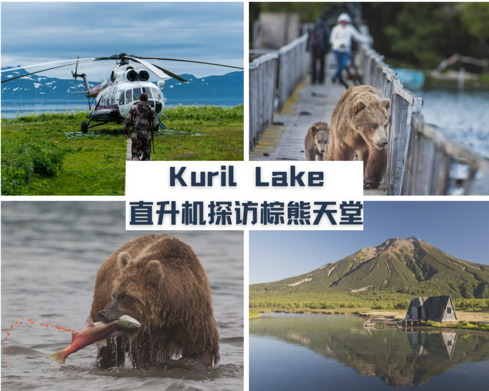 千岛湖-直升机探访棕熊天堂