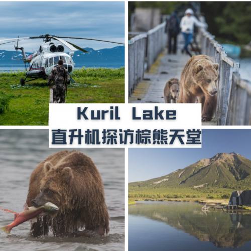 千岛湖-直升机探访棕熊天堂