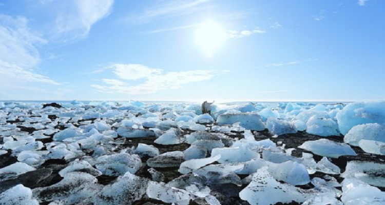 冰岛5日跟团游<双出海 冰岛精华全览> 【景观酒店】斯奈山半岛 | 布雷扎峡湾捕捞 | 丝浮拉冰缝浮潜 | 冰河湖两栖船