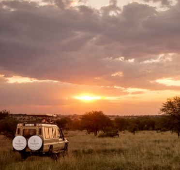 生命的迁徙肯尼亚动物追逐之旅-10日