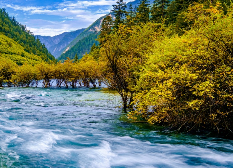 【动车团】九寨沟+黄龙 2 日游