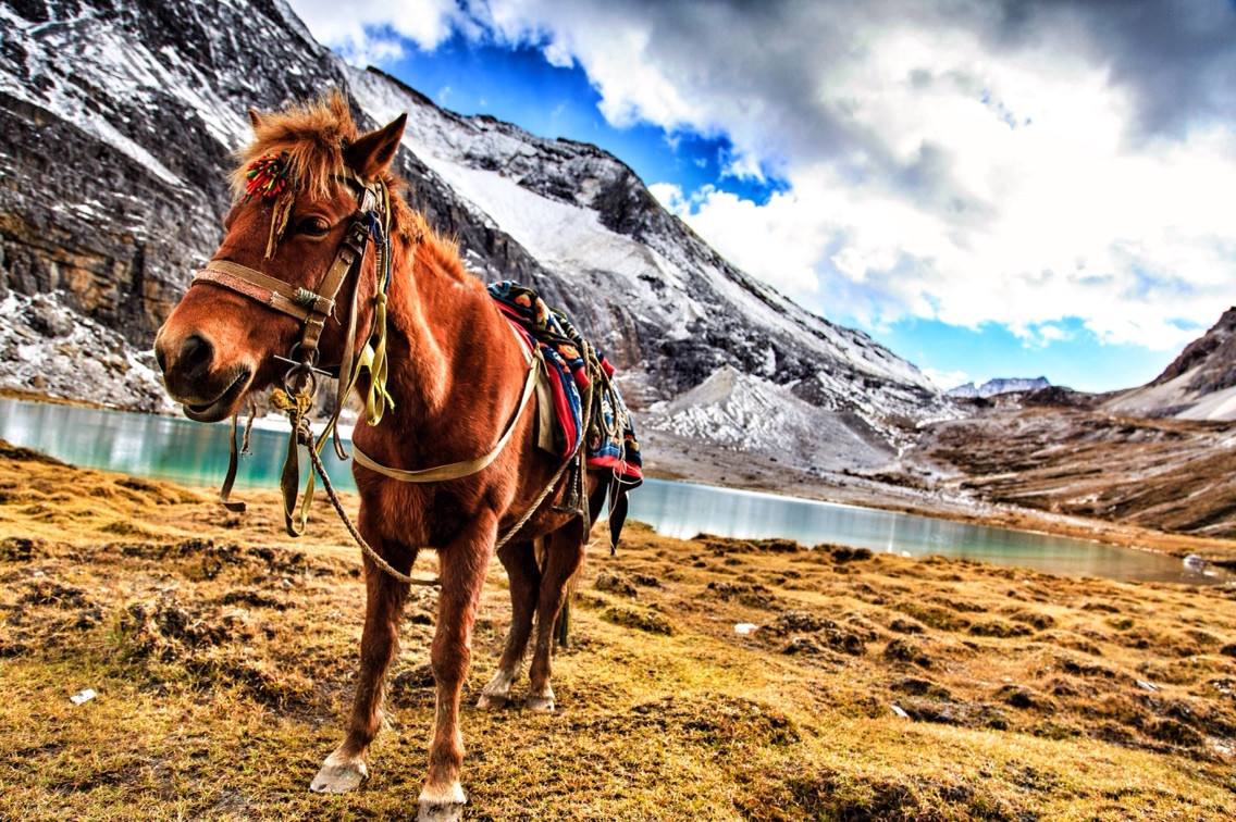 【8人团*车载供氧】稻城亚丁+四姑娘山+八朗生都+墨石 5 日游