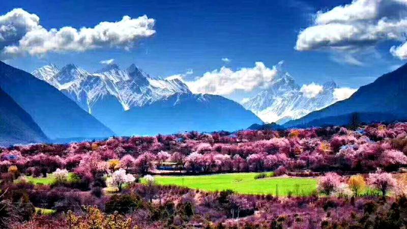 【318川藏线2-6人团】四姑娘山+新都桥+稻城亚丁+波密+林芝+羊湖+拉萨 西藏 10 日