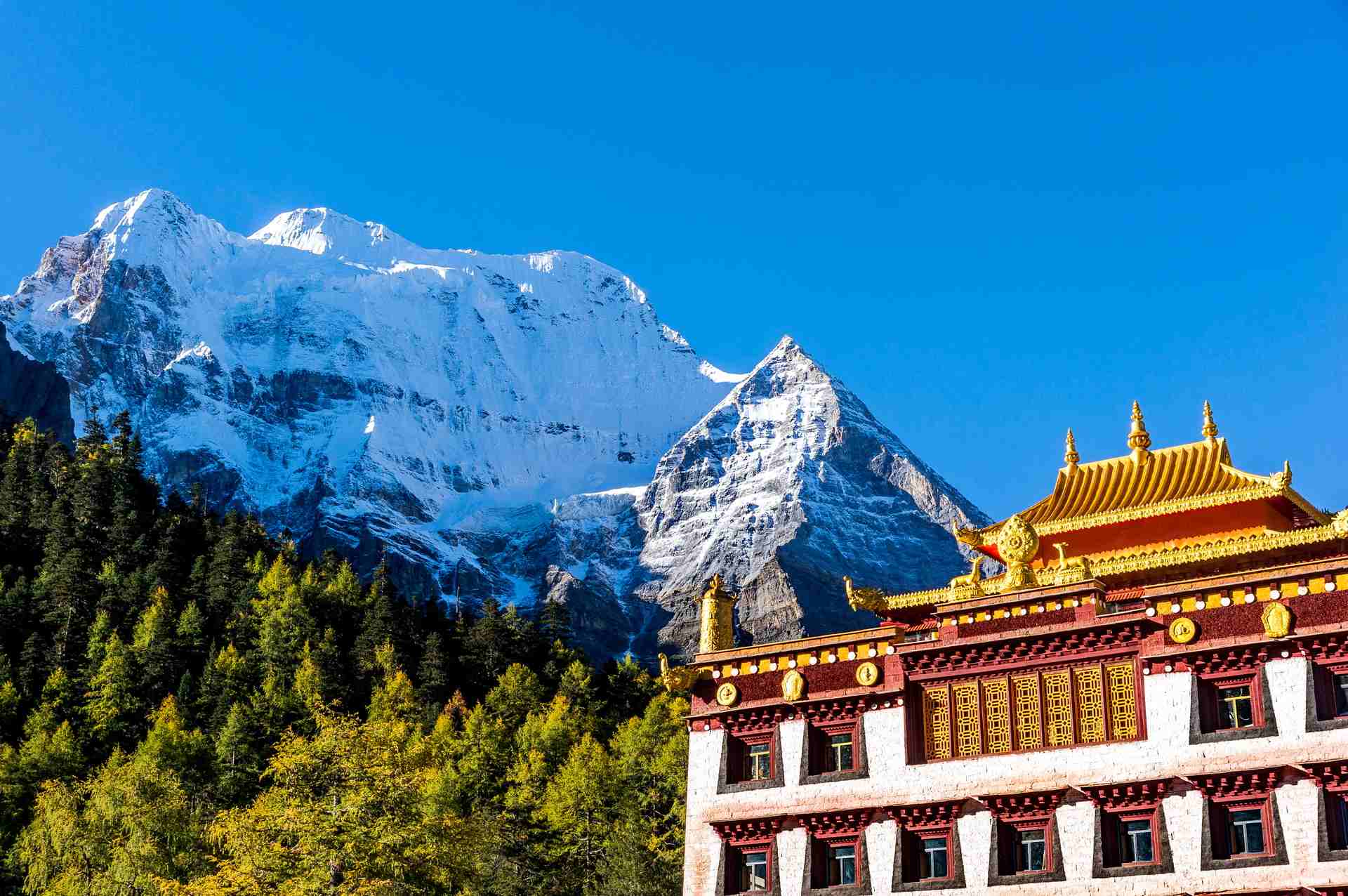 【6-12人团】稻城亚丁+四姑娘山+鱼子西+墨石 5 日游