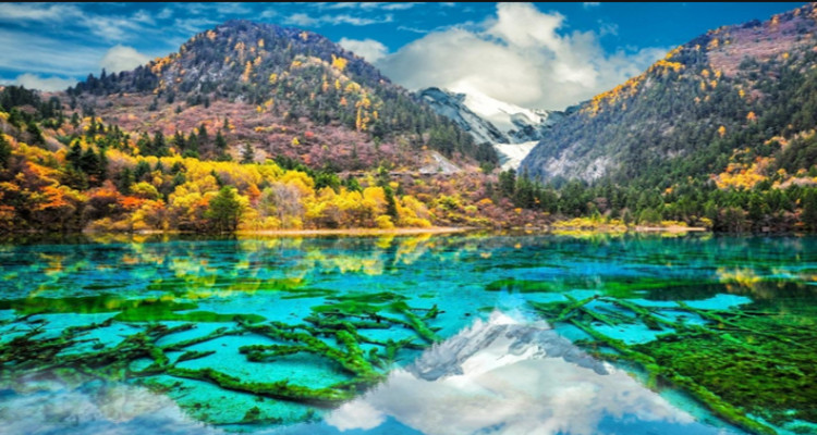 【动车团】九寨沟+黄龙 3 日游